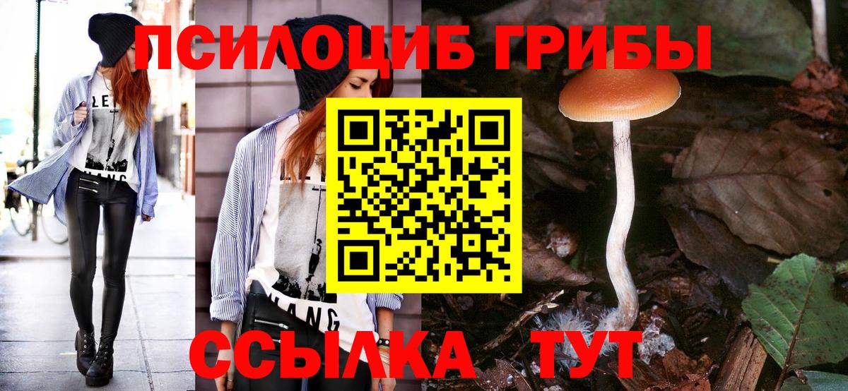 Алексеевка  Галлюциногенные грибы мухоморы  Вход с VPN 
